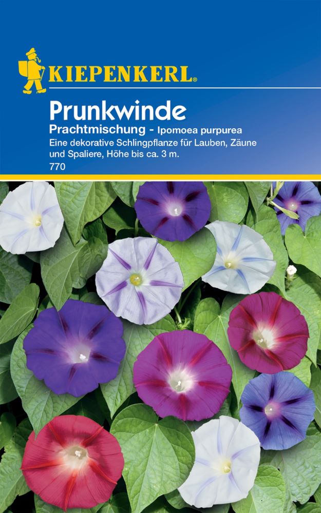 Kiepenkerl Prunkwinde Prachtmischung