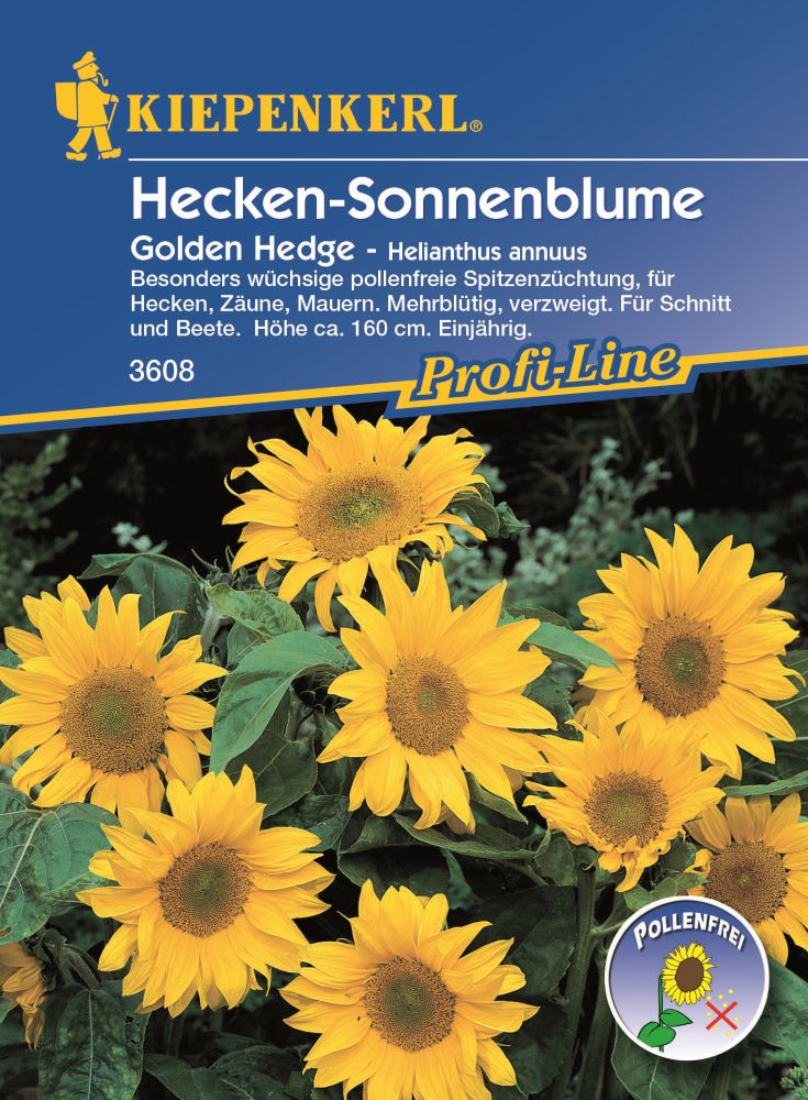 Kiepenkerl Hecken-Sonnenblume, Golden Hedge