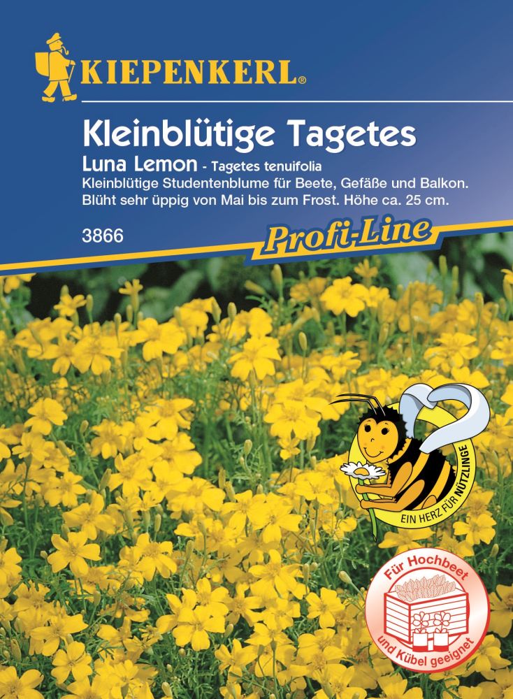 Kiepenkerl Kleinblütige Tagetes, Luna Lemon