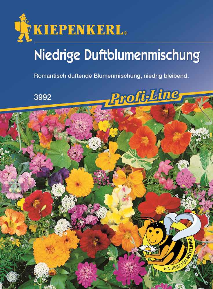 Blumenmischung Niedrige Duftblumen