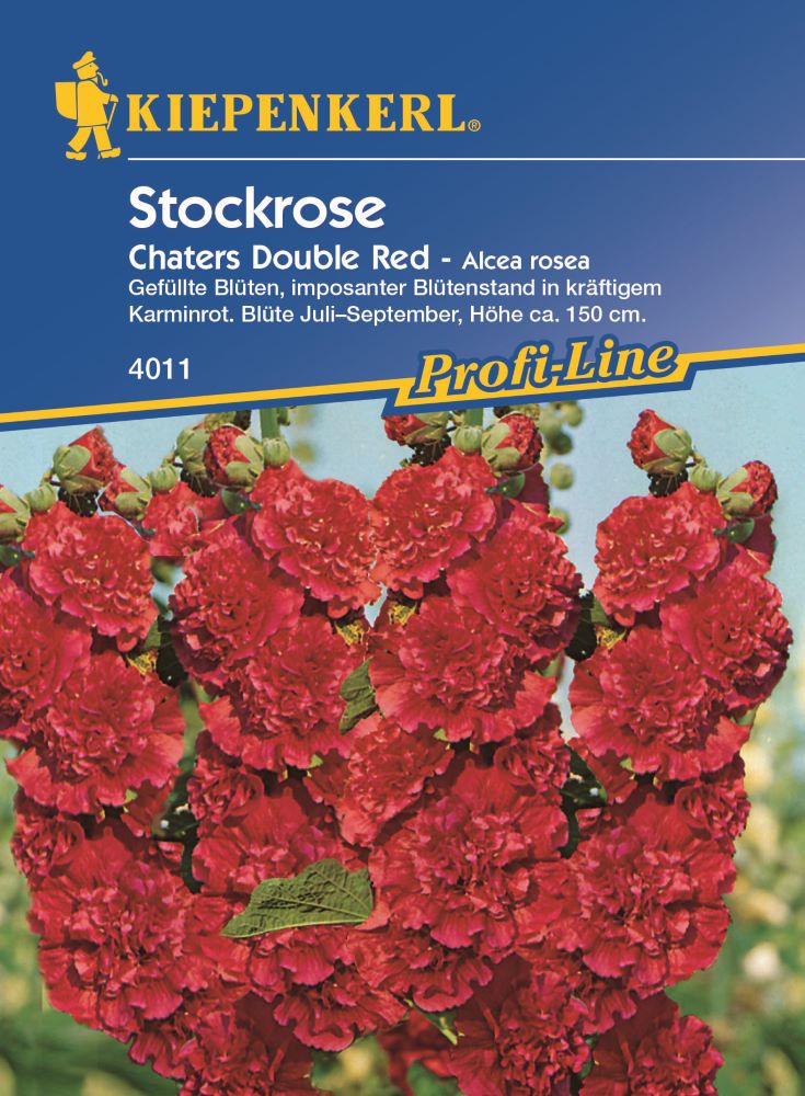 Kiepenkerl Stockrose, Chaters Double Red