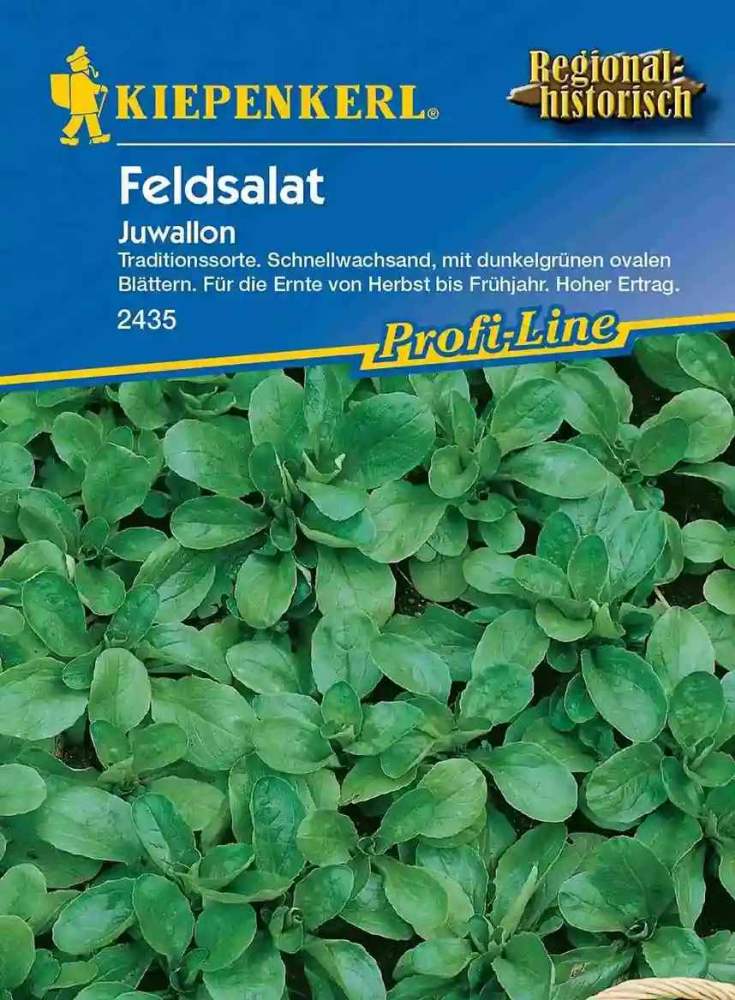 Kiepenkerl Feldsalatsamen Juwallon