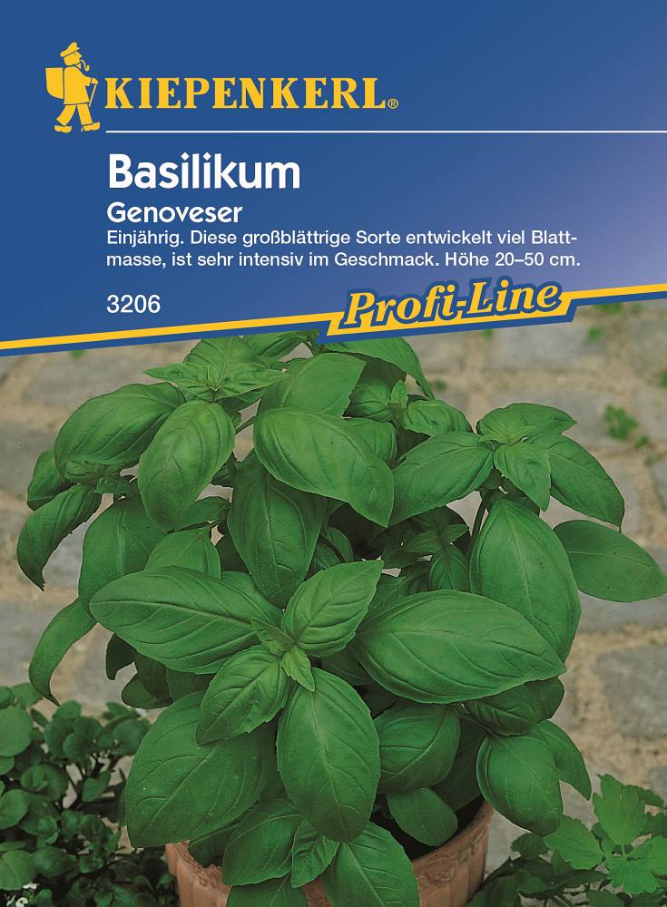 Basilikum Genoveser