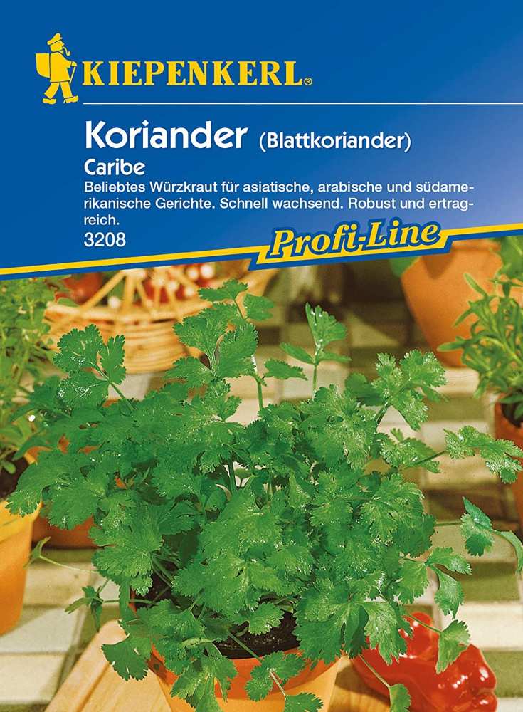 Kiepenkerl, Koriandersamen Caribe