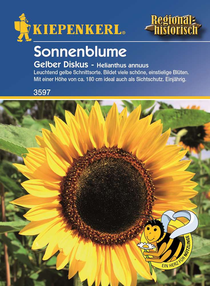 Sonnenblume Gelber Diskus