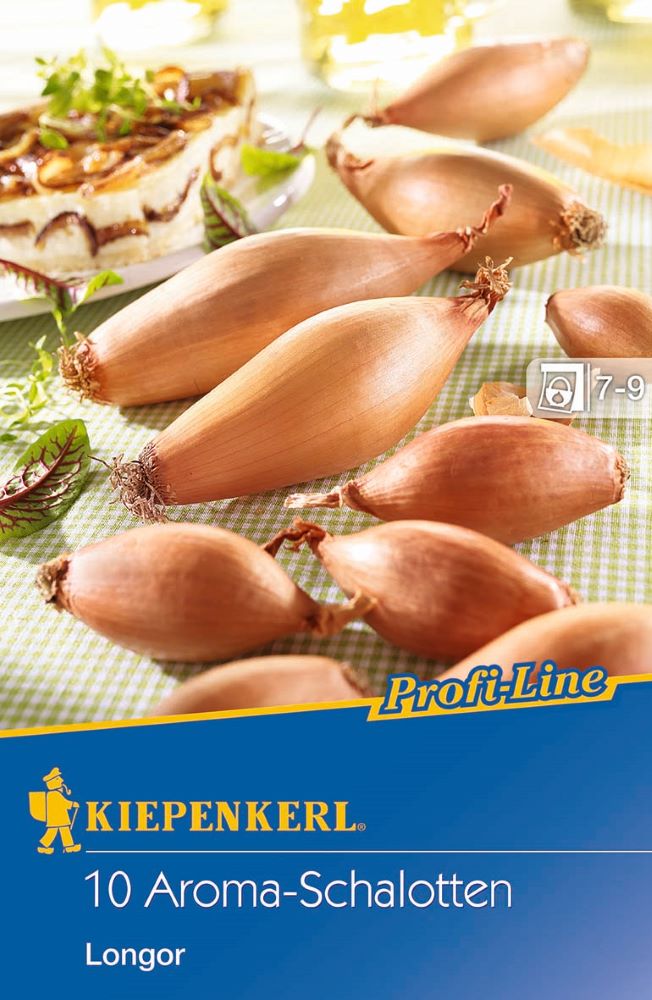 Schalotte Longor 10 Stück