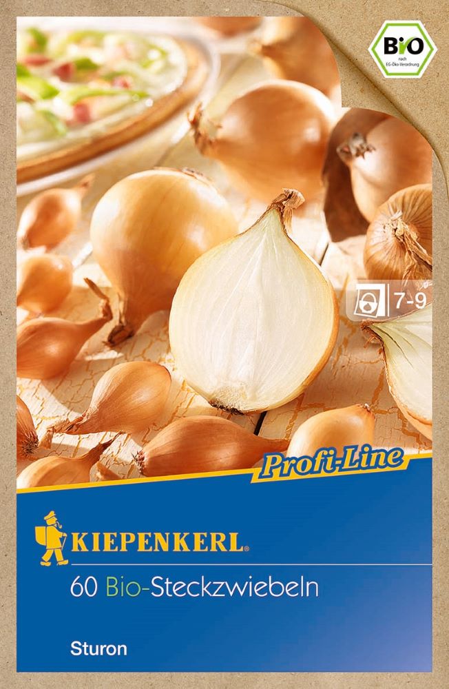 BIO Steckzwiebel Sturon 60 Stück