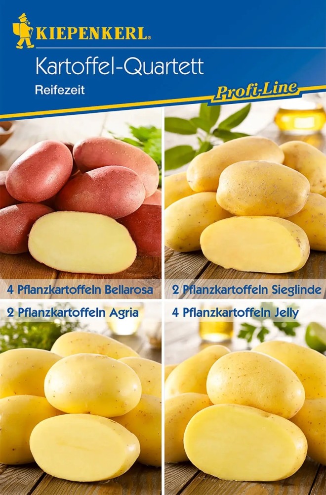 Kiepenkerl Pflanzkartoffel Quartett