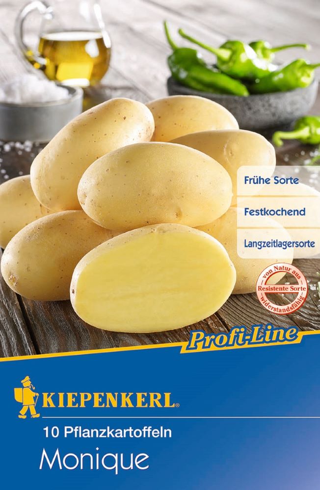 Pflanzkartoffel Monique 10 Stück