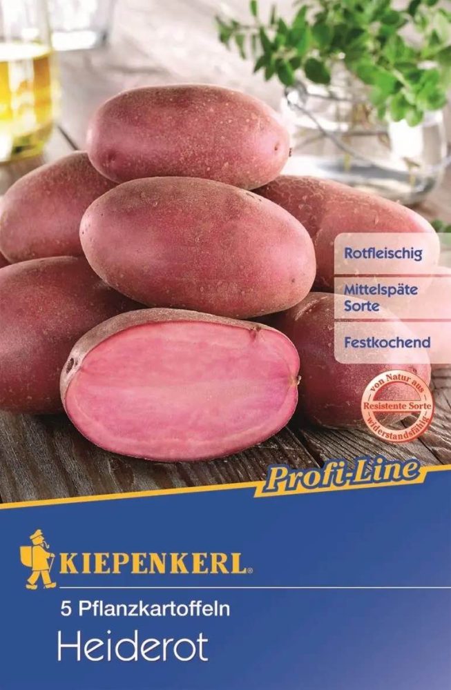 Pflanzkartoffel Heiderot, 5 Stück