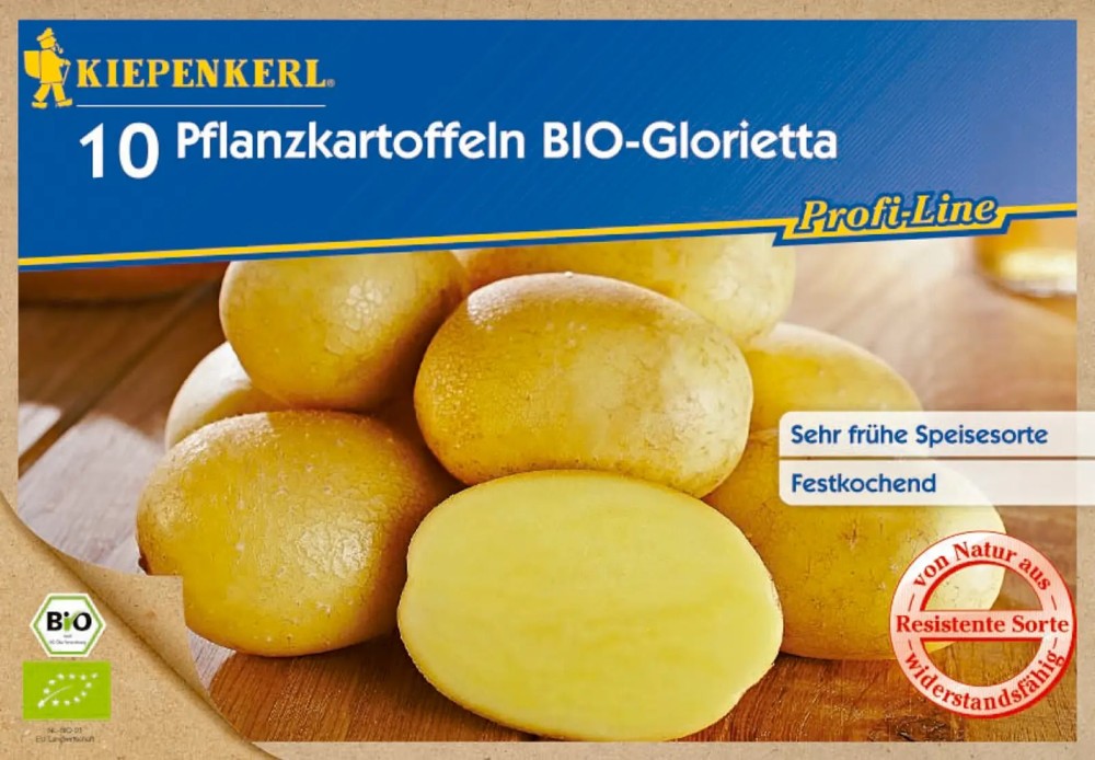 Kiepenkerl BIO-Pflanzkartoffel Glorietta