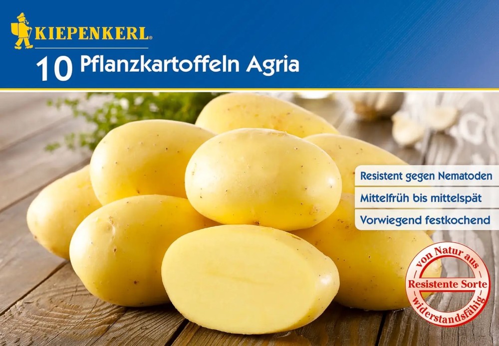 Kiepenkerl Pflanzkartoffel Agria