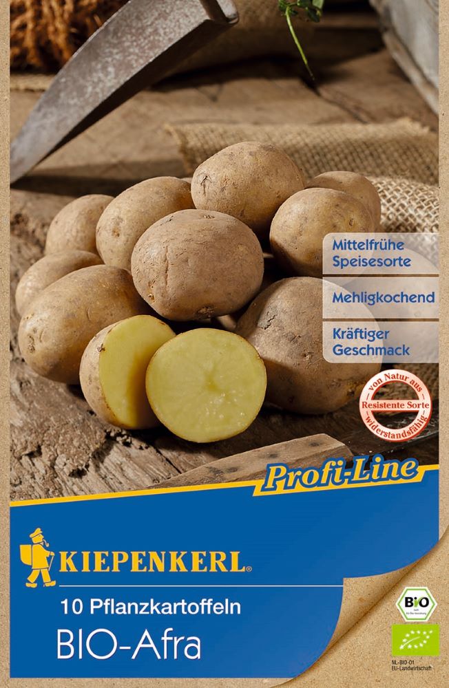 BIO Pflanzkartoffel Afra 10 Stück