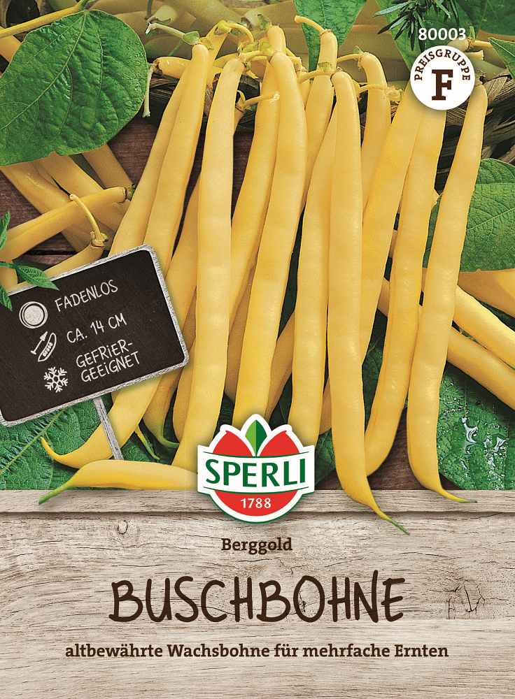 Buschbohne Berggold