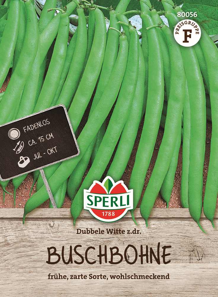 Buschbohne Dubbele Witte z.dr.