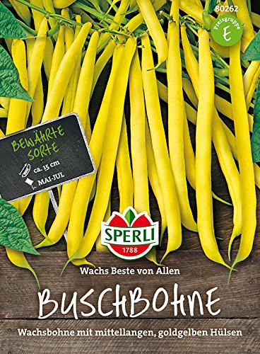 Buschbohne