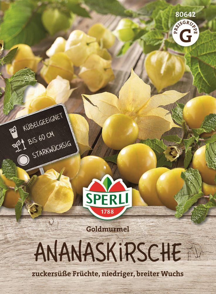 Ananaskirschensamen Goldmurmel