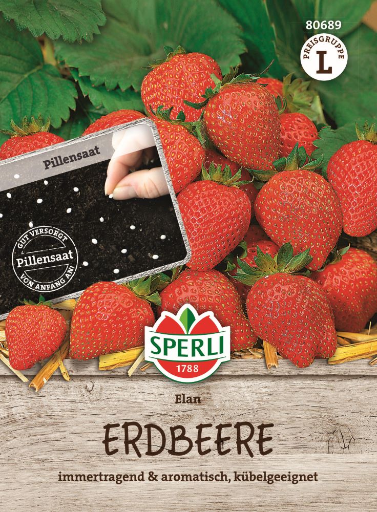 Erdbeerensamen Elan, F1, Pillensaat
