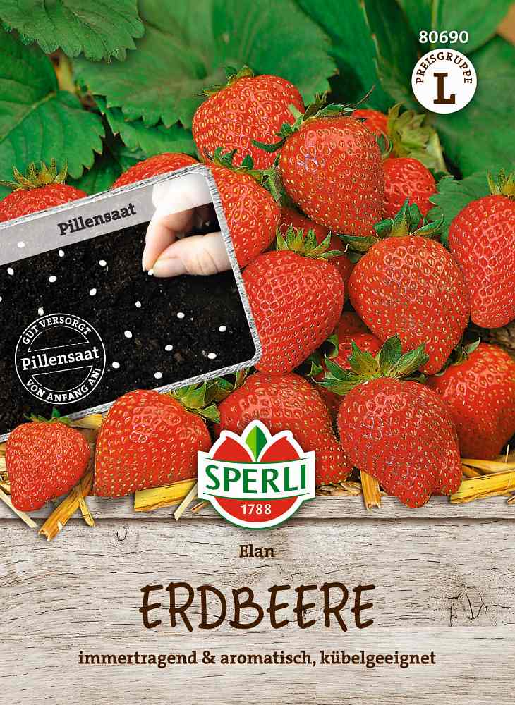 Erdbeere Elan F1 Pillensaat