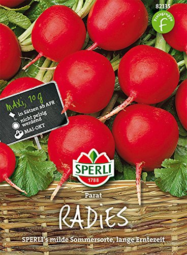 Radieschensamen Parat, MaxiPack 10g