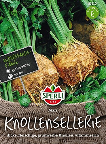 Knollenselleriesamen Mars