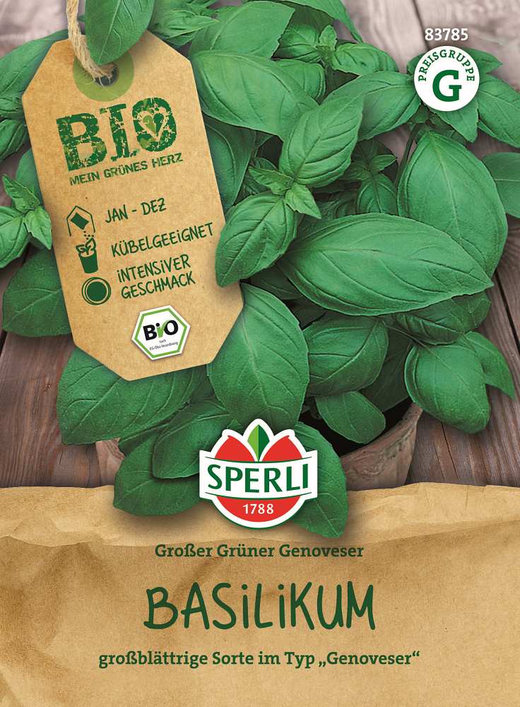 BIO Basilikum Großer Grüner Genoveser