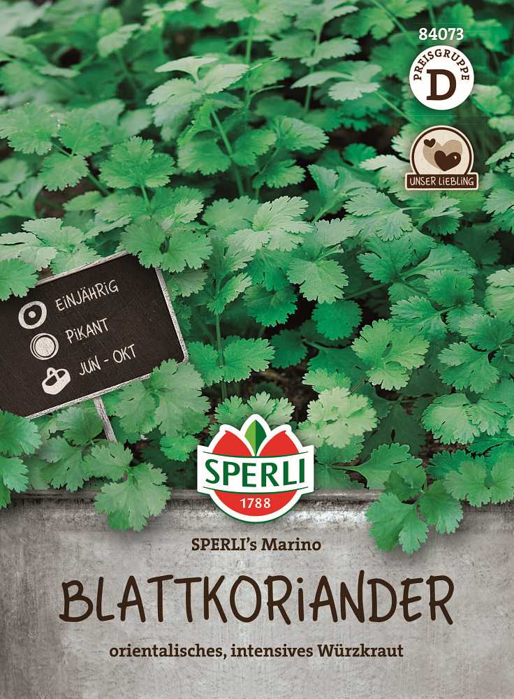 Blattkoriander SPERLI's Marino