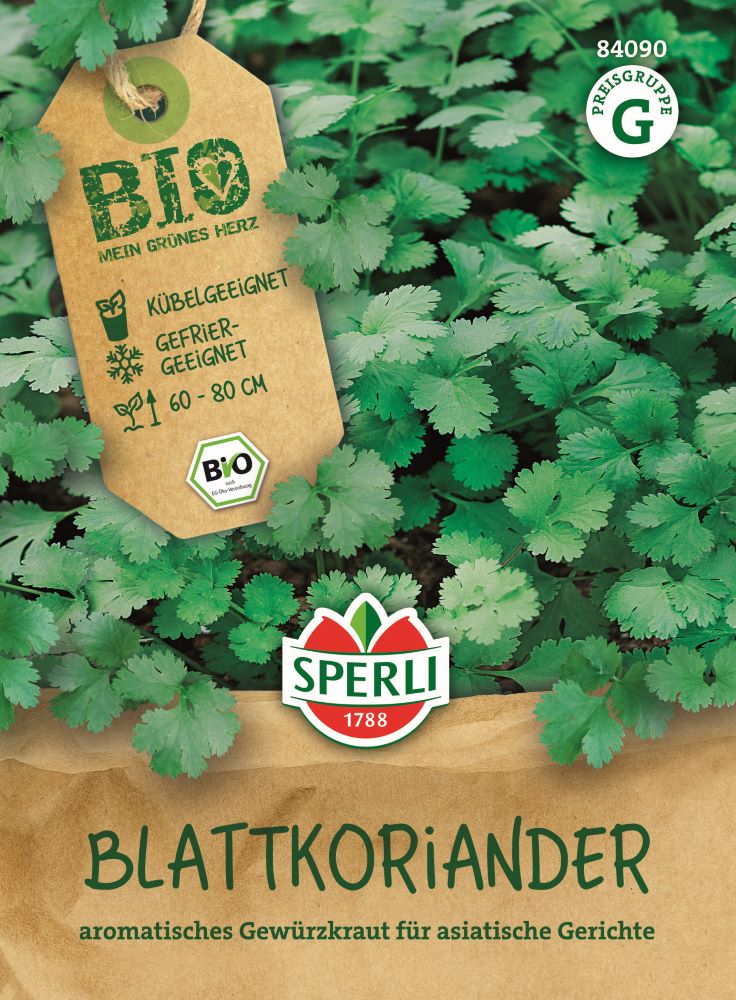 Sperli BIO Blattkoriander