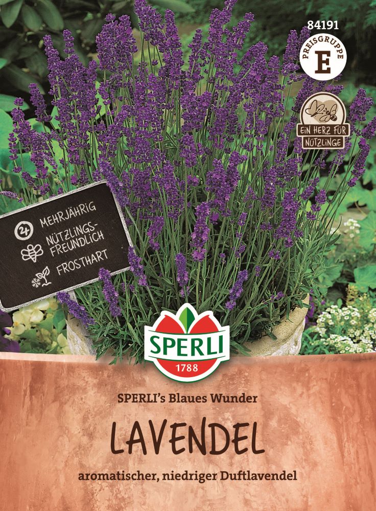 Sperli Blaues Wunder, Lavendelsamen