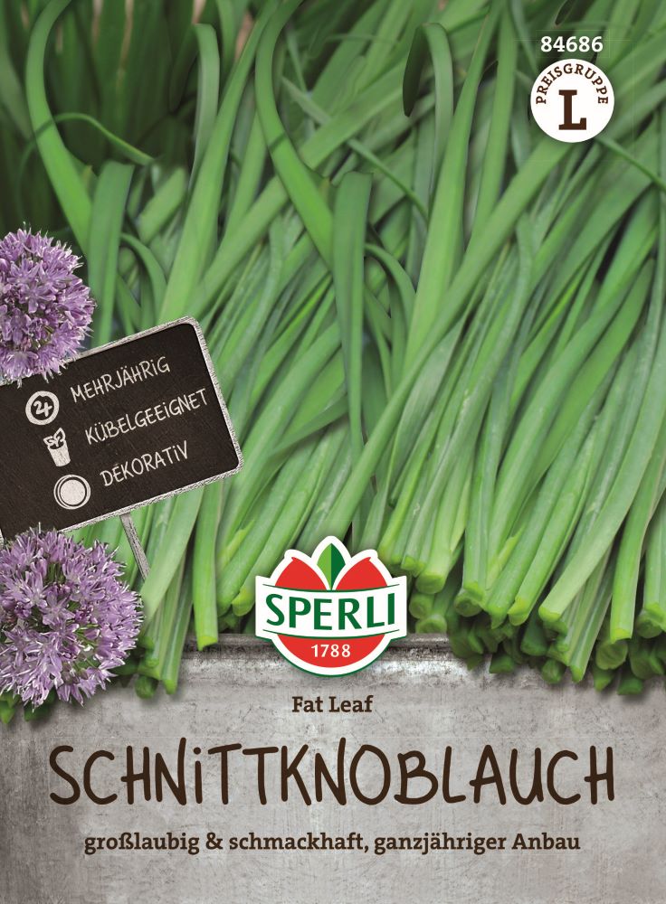 Schnittknoblauchsamen Fat Leaf