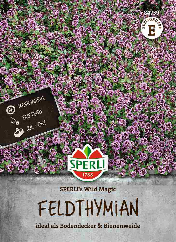 Feldthymian SPERLI's Wild Magic