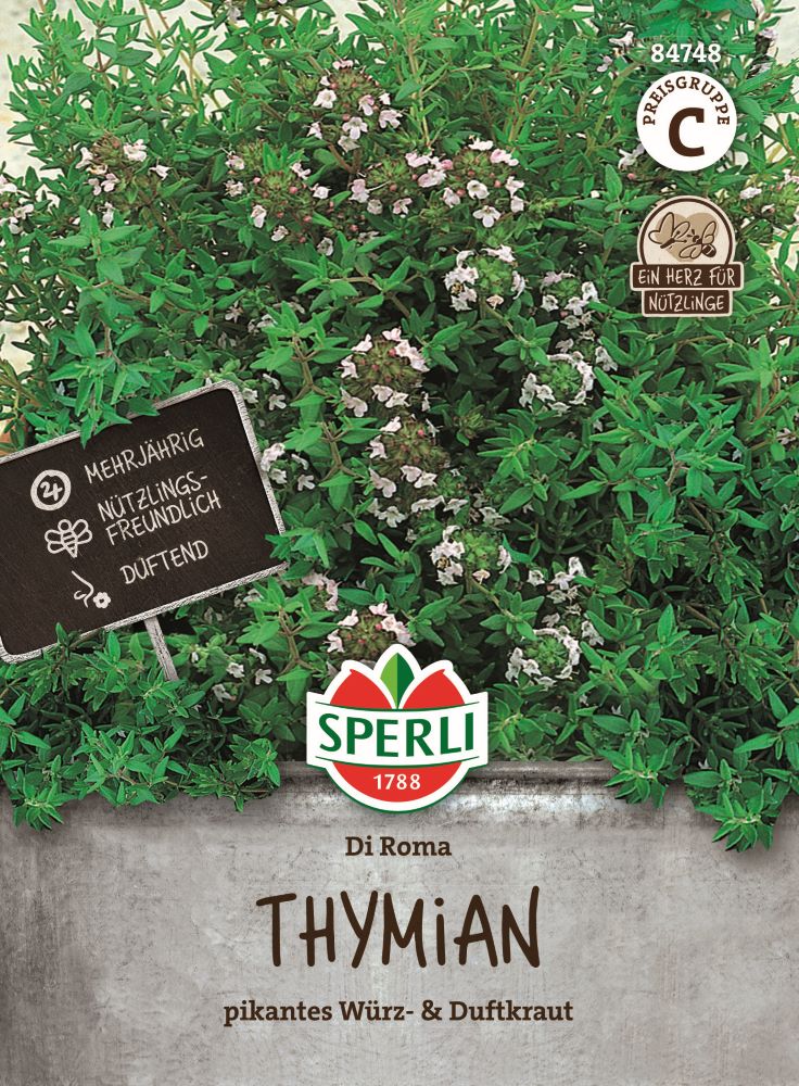 Thymiansamen Di Roma