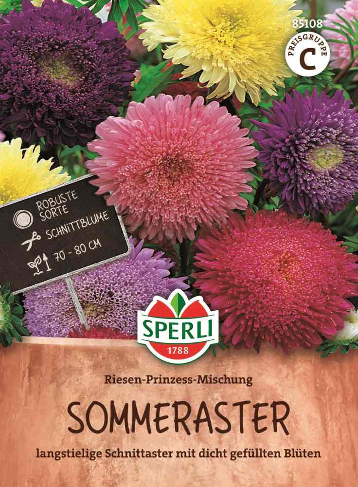 Aster Riesen-Prinzess-Mischung