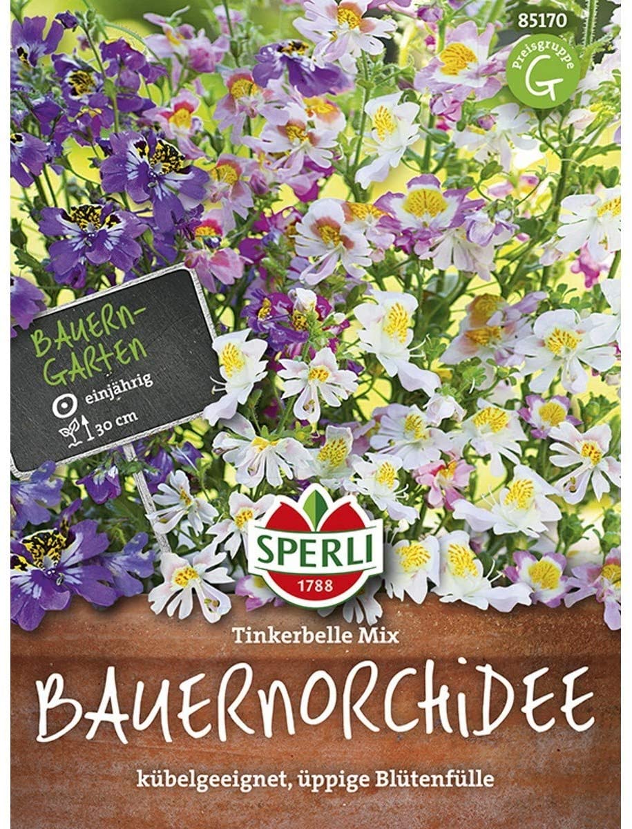 Sperli Bauernorchideensamen Tinkerbelle Mix