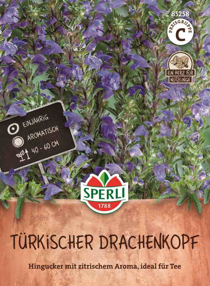 Nützlingsparadies, Türkischer Drachenkopf