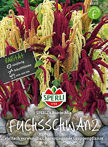 Sperlis Bunte-Mix, Fuchsschwanz