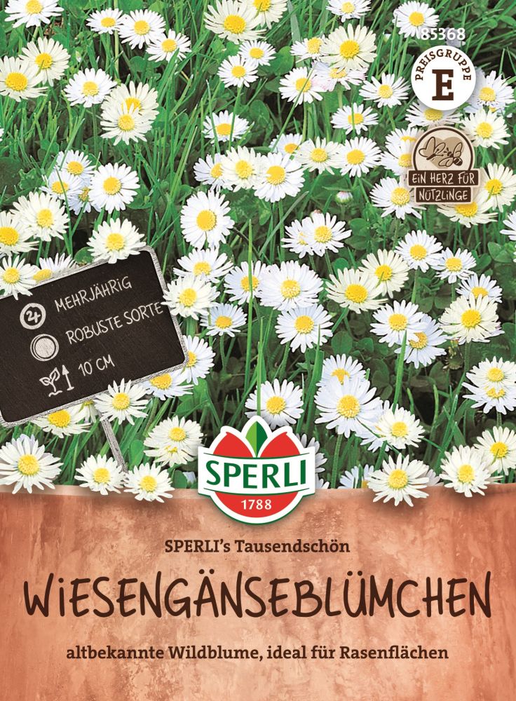Sperlis Tausendschön, Wiesengänseblümchen