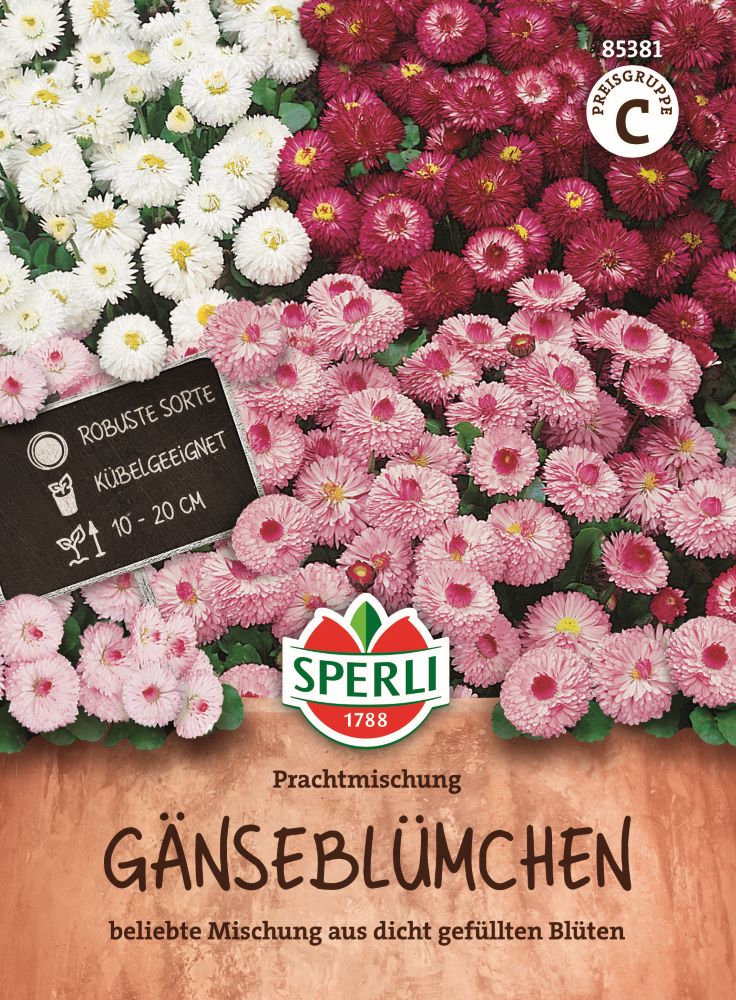 Sperli Gänseblümchensamen Prachtmischung