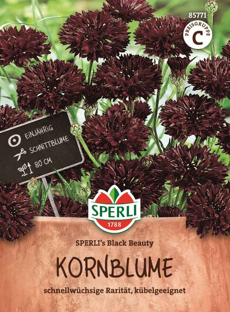 Sperlis Black Beauty, Kornblume