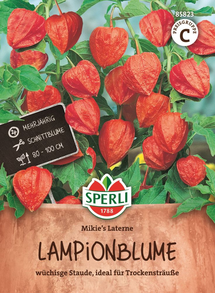 Lampionblumen, Mikie`s Laterne
