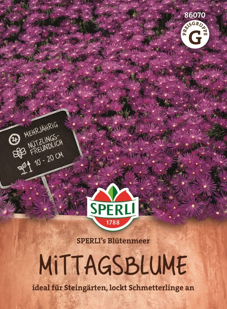 Sperlis Blütenmeer, Mittagsblume