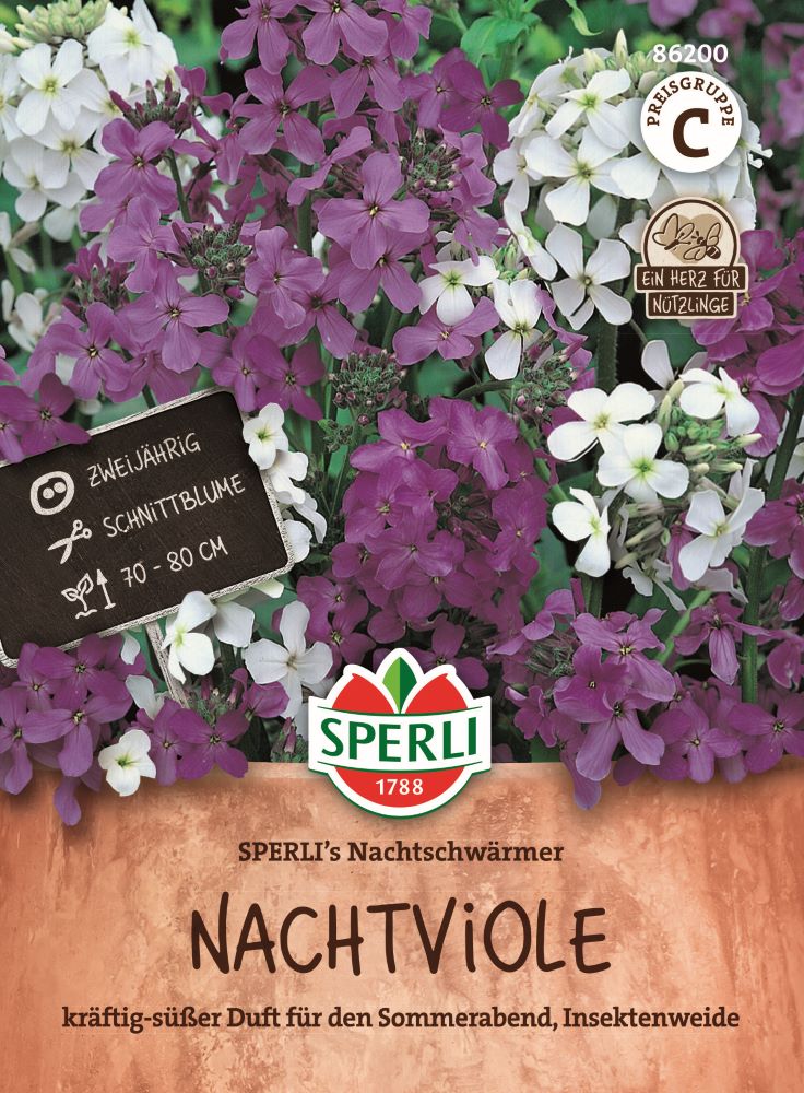 Sperlis Nachtschwärmer, Nachtviole