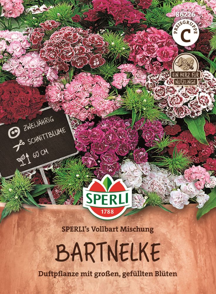 Bartnelken, Sperling´s Vollbart Mischung