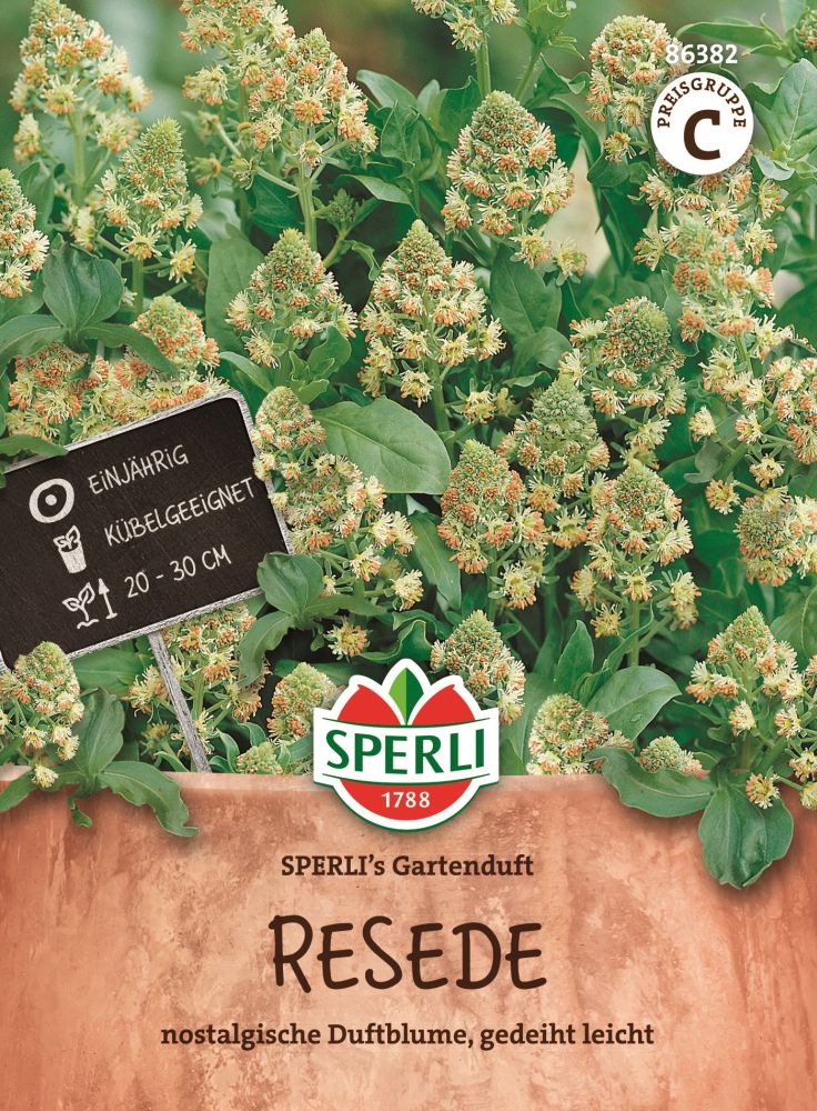 Sperlis Gartenduft, Resede
