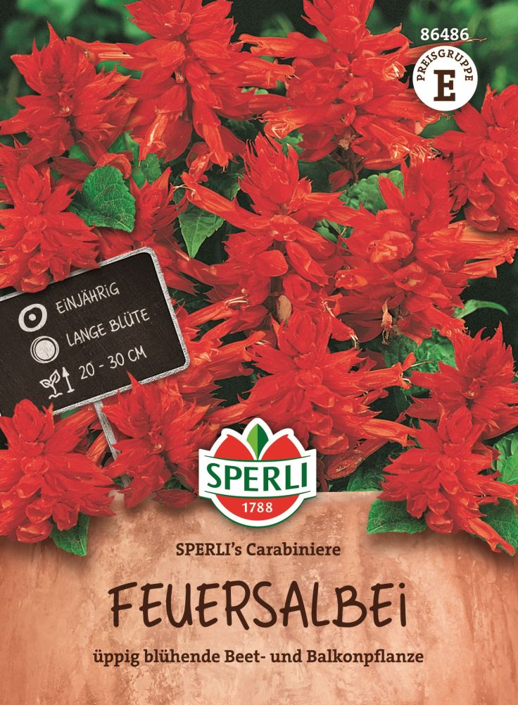 Sperlis Carabiniere, Feuersalbei