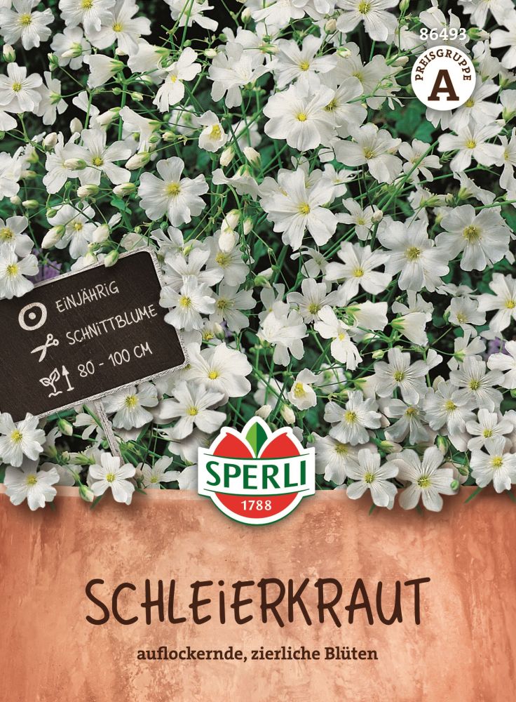 Schleierkraut, weiß