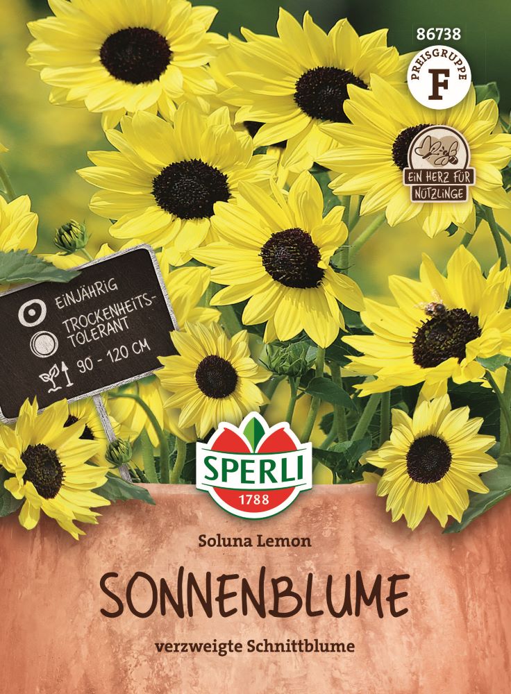 Sperli Sonnenblumensamen, Soluna Lemon
