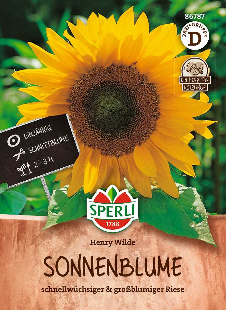 Sonnenblume Henry Wilde