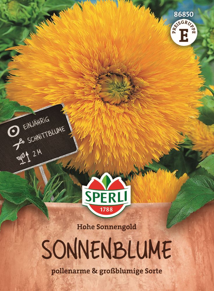 Sonnenblume, Hohe Sonnengold, gefüllt