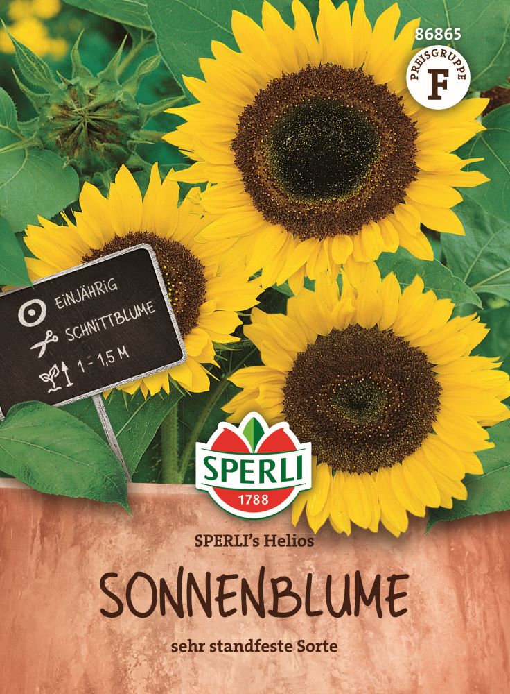Sperlis Helios, Sonnenblume